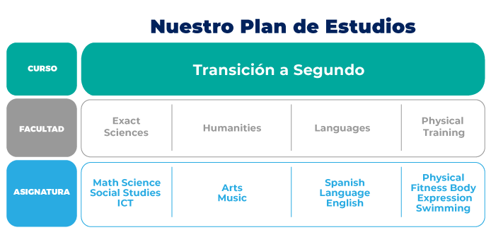 plan estudios elementary