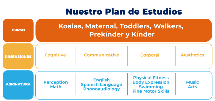 plan estudios little